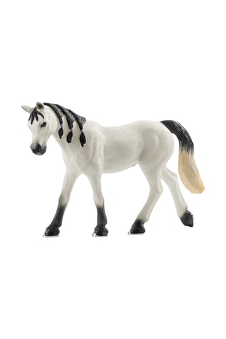 Arabische merrie Horse Club Vanaf 5 Jaar