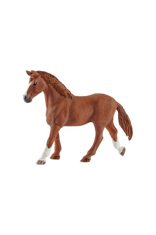 Manege Horse Club - Vanaf 5 Jaar