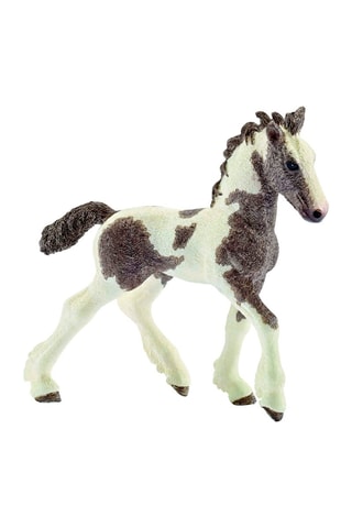 Veulen Tinker Farm World Vanaf 3 Jaar