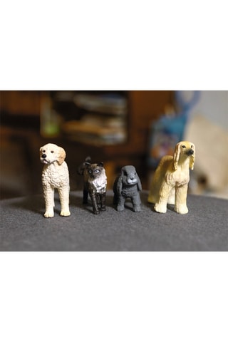 Windhond Farm World Vanaf 3 Jaar