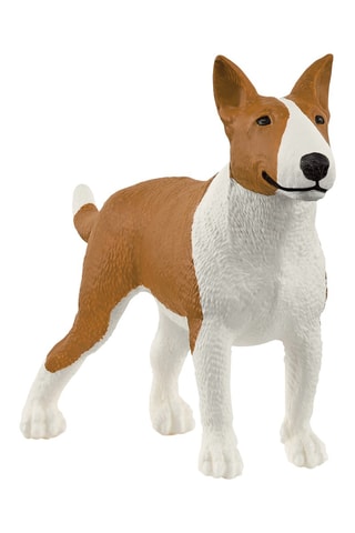 Bull Terrier Farm World Vanaf 3 Jaar