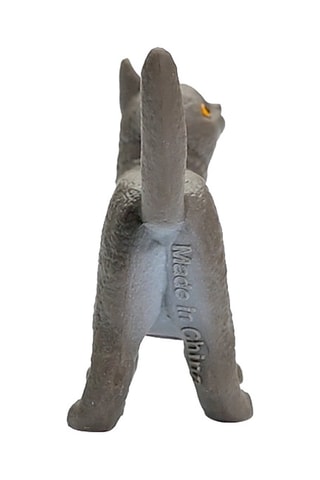 British Shorthair Kat Farm World - Vanaf 3 Jaar