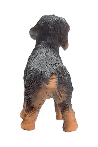 Teckel Farm World - Vanaf 3 Jaar