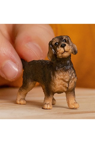 Teckel Farm World - Vanaf 3 Jaar