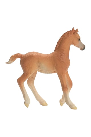 Arabisch veulen Horse Club - Vanaf 5 Jaar