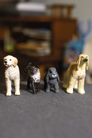 Goldendoodle Farm World - Vanaf 3 Jaar