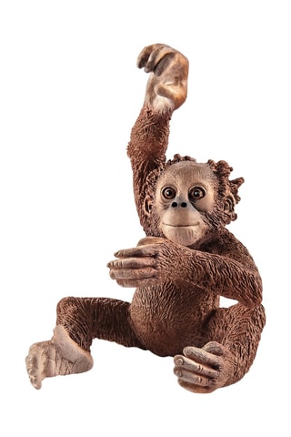 Jonge Orang-oetan- Vanaf 3 Jaar