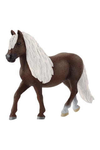 Merrie Zwart Woud Farm World - Vanaf 3 Jaar