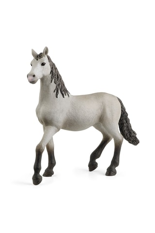 Jument van puur Spaans ras Horse Club -. Vanaf 5 Jaar