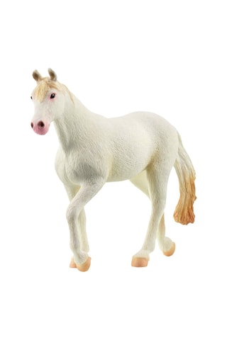 Camarillo merrie Farm World Vanaf 5 Jaar