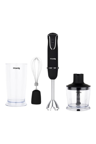 Staafmixer 4 in 1 - 850 W - Zilverkleurig en zwart