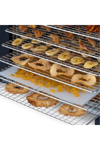 Voedseldroger - 650 W - Zilverkleurig en zwart