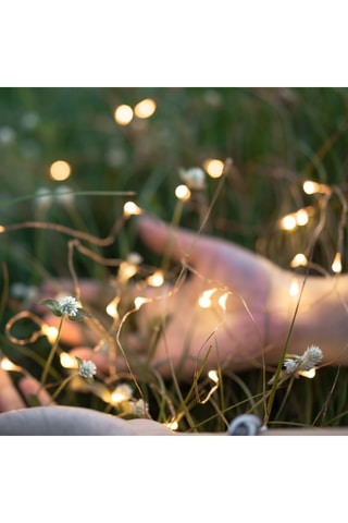 2 decorazioni a energia solare skinny 100 LED Skinny - Dorato - 11,9 m