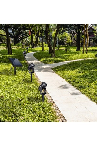 4 faretti a energia solare LED collegati a pannello solare remoto 4 in 1 Roundy - Nero - 4 x 5 W