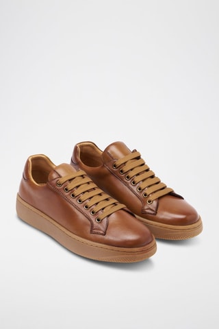 Sapatilhas regular em couro - Camel - Castanho