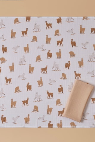 Lenzuolo - Beige - 64 x 64 cm