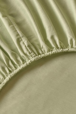 Lenzuolo sotto in cotone - 57 fili/cm² - Verde