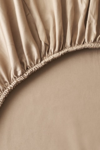 Lenzuolo sotto in cotone - 57 fili/cm² - Taupe