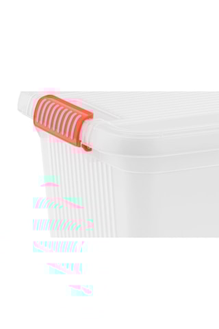 Boîte de rangement Scuba - 69 l - Transparent