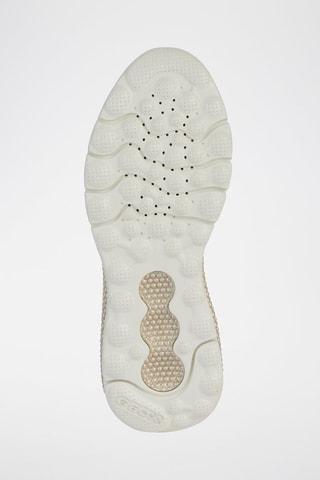 Tennis - Marron clair