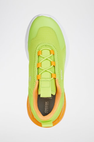 Tennis Calzature - Vert clair