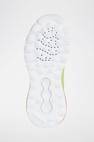 Tennis Calzature - Vert clair