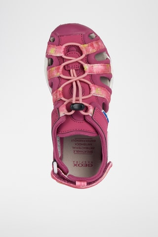 Sandales Borealis  - Rose