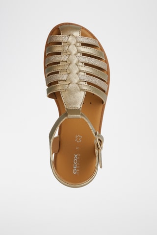 Spartiates  Karly  - Doré