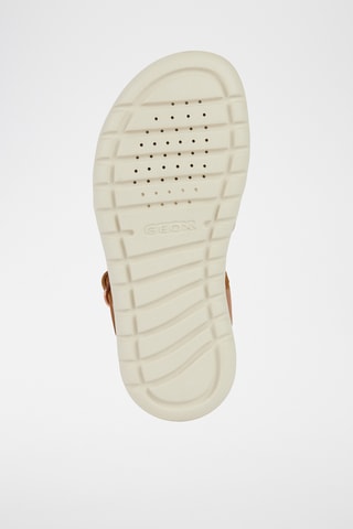 Sandálias em couro  Soleima - Castanho