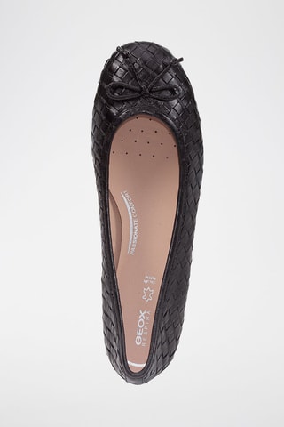 Ballerines en cuir Palmaria - Noir