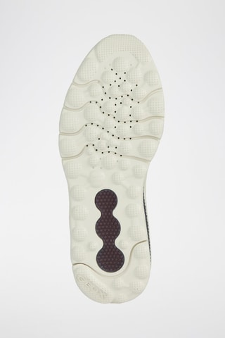 Baskets Spherica Actif A  - Bordeaux