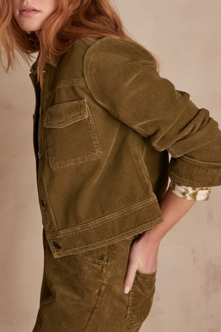 Chaqueta de pana - Caqui