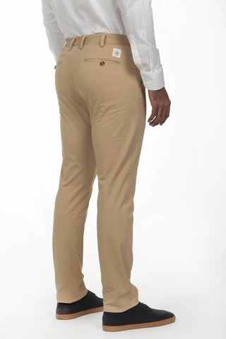 Chino - Camel