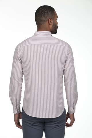 2 chemises regular - Multicolore