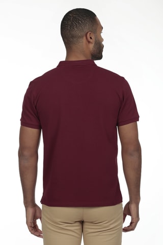 2 polos regular - Bordeaux et bleu clair