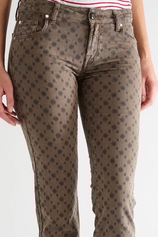 Broek - Bruin