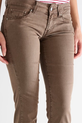 Broek - Bruin