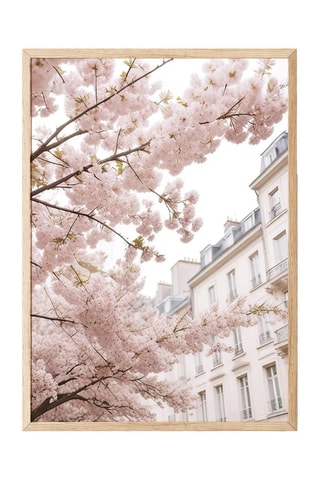 3 quadri - 30 x 40 cm