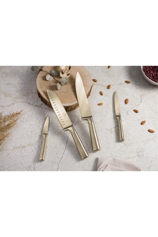 4 coltelli in acciaio inossidabile