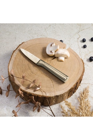 Spelucchino in acciaio inossidabile Sahara - 9 cm