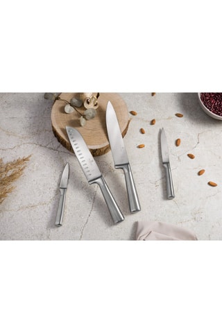 4 coltelli in acciaio inossidabile