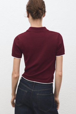 Pull col polo zippé - Lie-de-vin