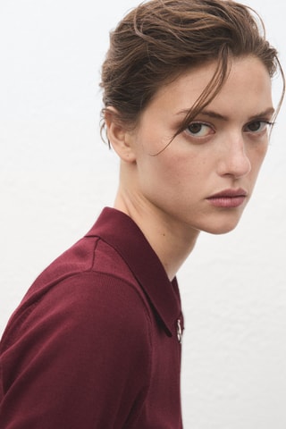 Pull col polo zippé - Lie-de-vin