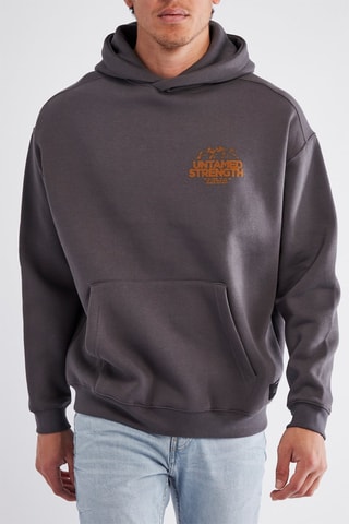 Sweat à capuche - Gris