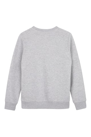 Sweat - Gris clair