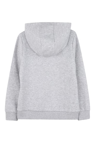Sweat à capuche - Gris