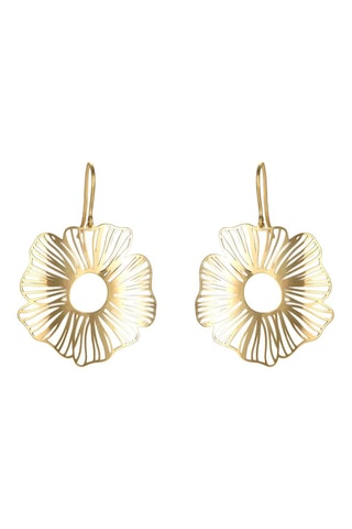 Brincos Ambrosia - Ouro amarelo