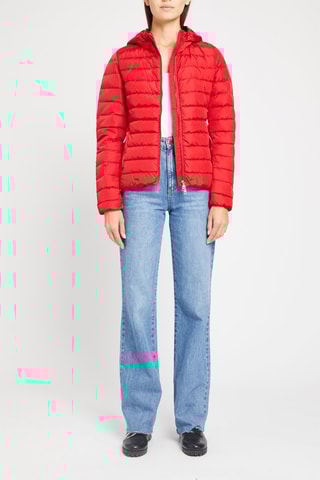 Anorak con capucha - Rojo