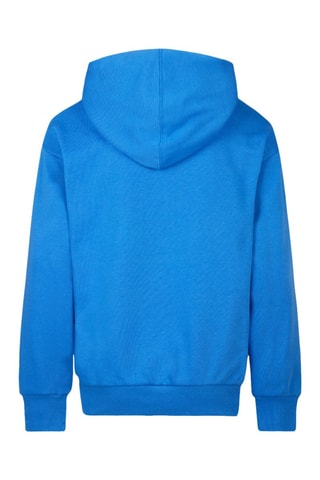 Sweat à capuche en coton biologique - Blanc et bleu