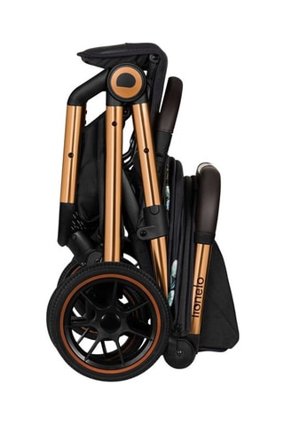 Buggy Cloe Zwart en Goudkleurig